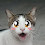 Click@chobots